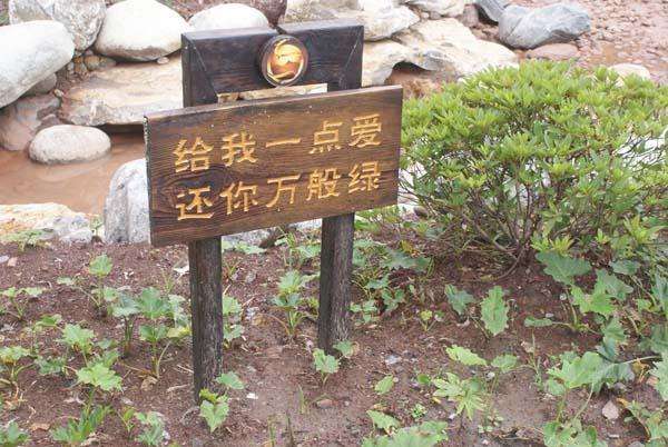 青岛标识